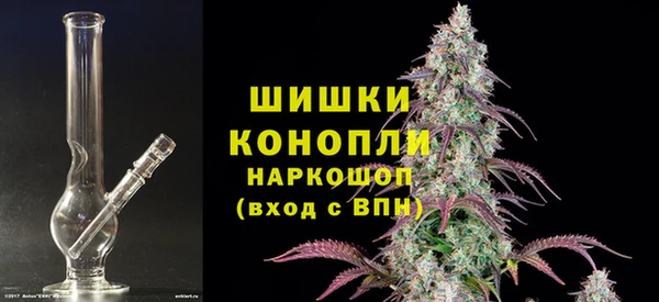 ECSTASY Ладушкин