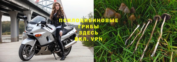 spice Канск