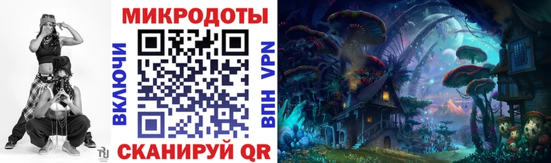 где найти Холм Галлюциногенные грибы ЛСД